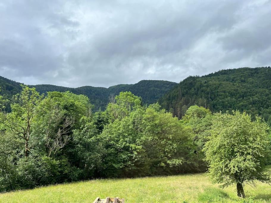 Appartement 5 Personnes Avec Espace Plein Air Saint-Maurice-sur-Moselle Zewnętrze zdjęcie
